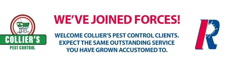 Rose Pest Solutions Traverse City Michigan