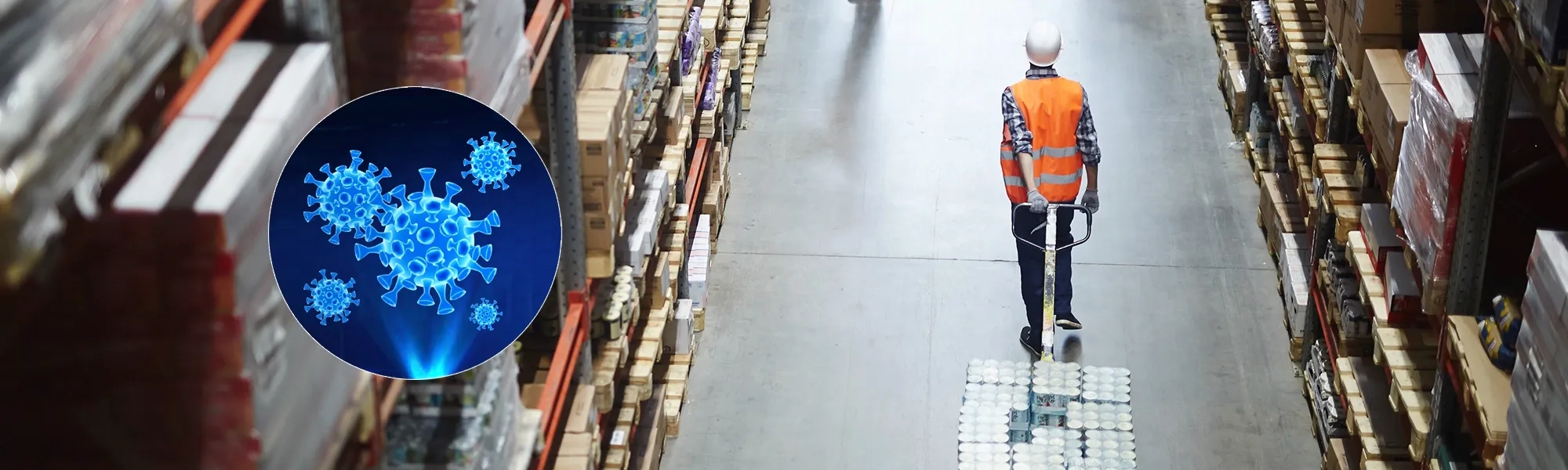 Rose Disinfection Services warehouse with inset of a bacteria
