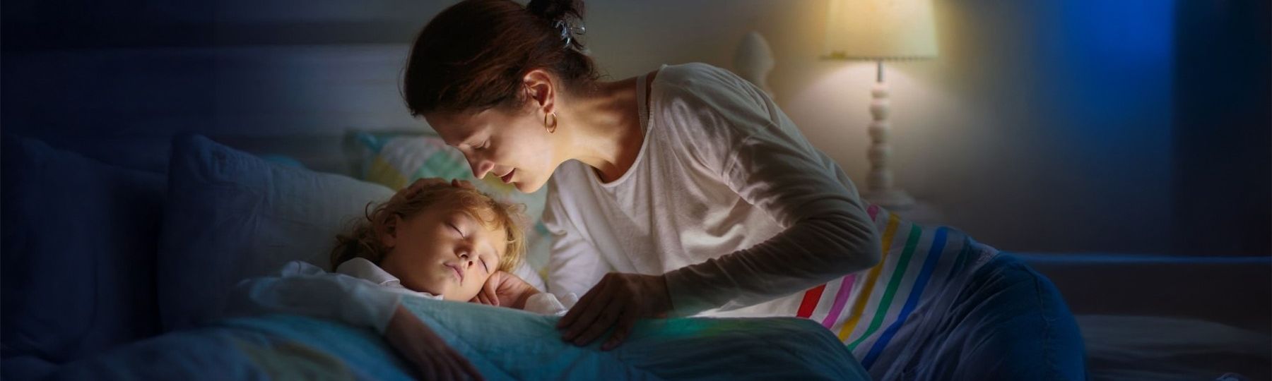rose pest solutions residential bed bug services bed bug on a mattress