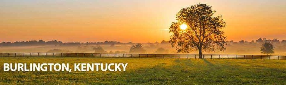 Rose Pest Solutions Burlington Kentucky