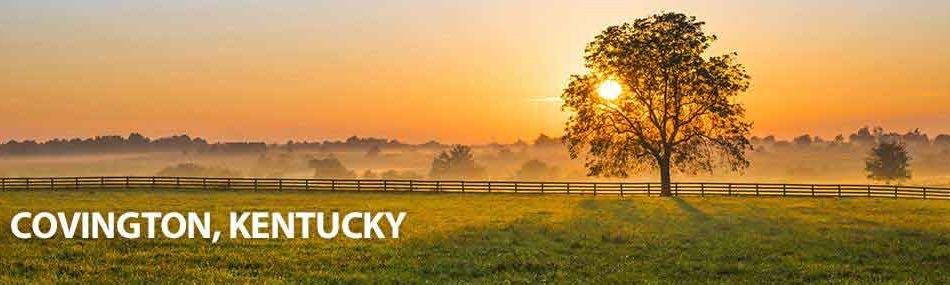 Rose Pest Solutions Covington Kentucky