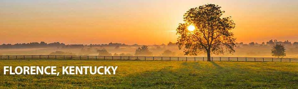 Rose Pest Solutions Florence Kentucky
