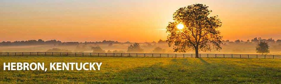 Rose Pest Solutions Hebron Kentucky