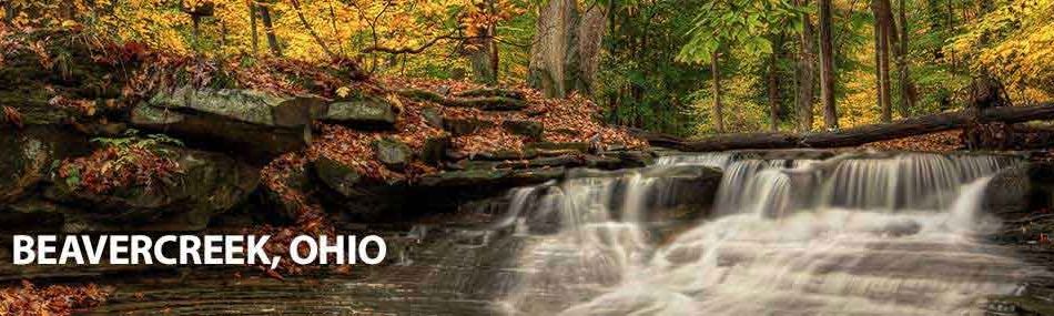 Rose Pest Solutions Beavercreek Ohio