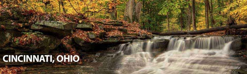 Rose Pest Solutions cincinnati Ohio