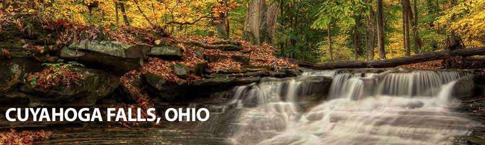 Rose Pest Solutions cuyahoga falls Ohio