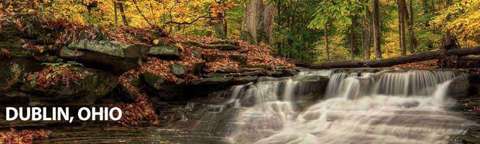 Rose Pest Solutions dublin Ohio