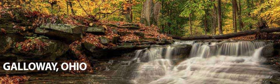 Rose Pest Solutions galloway Ohio
