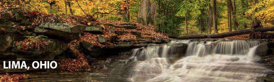 Rose Pest Solutions lima Ohio