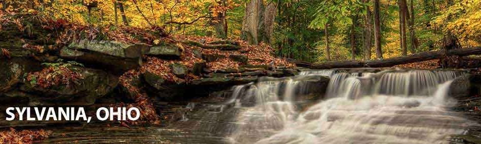 Rose Pest Solutions sylvania Ohio