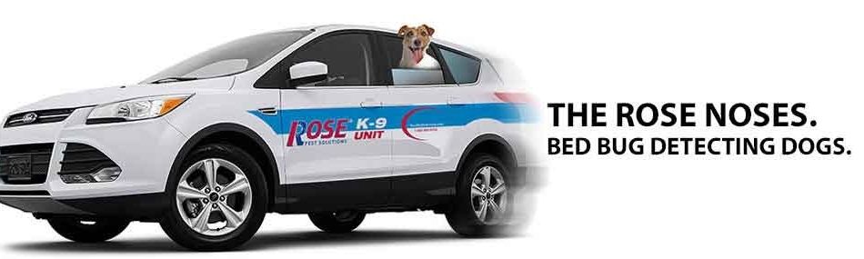 rose canine vehicle