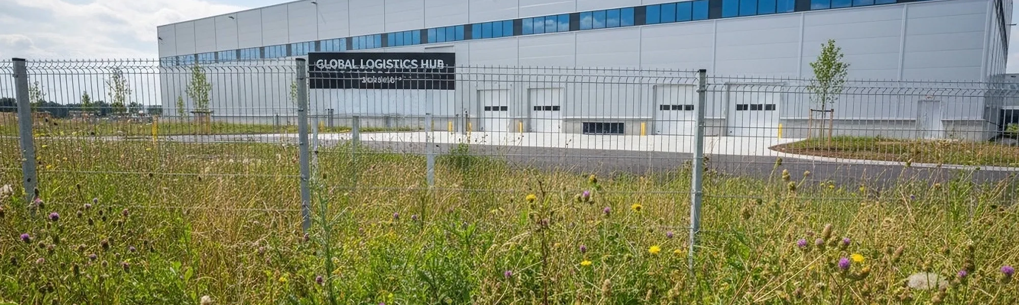 weeds in front of warehouse