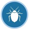 bed bug icon