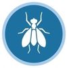 fly icon