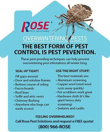 Rose Pest Solutions Overwintering Pest Prevention Overwintering Pest Prevention