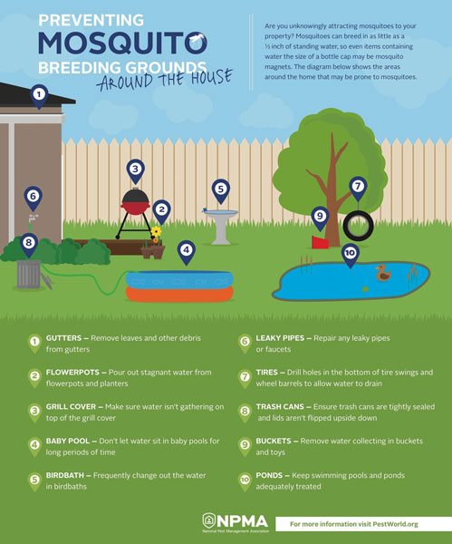 how to control mosquitoes in your backyard simple ways to prevent mosquitoes from breeding around your home