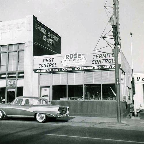vintage photo of rose office