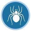 spider icon