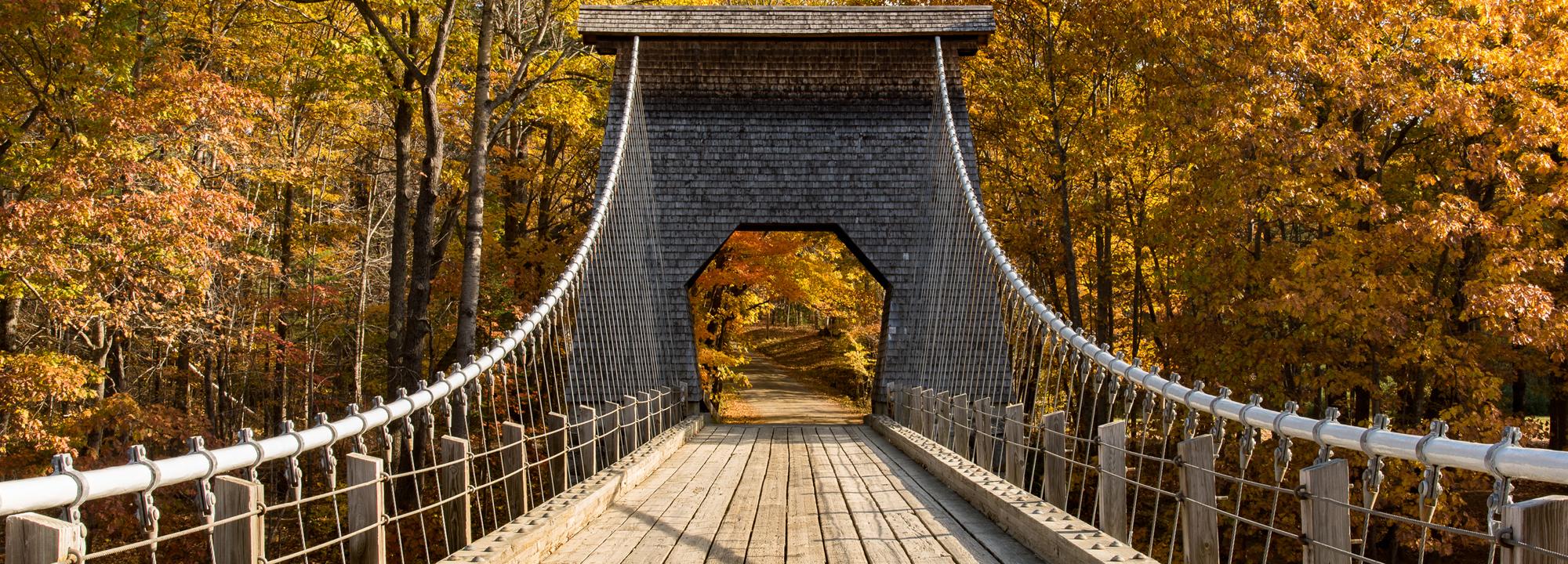 Wire Bridge
