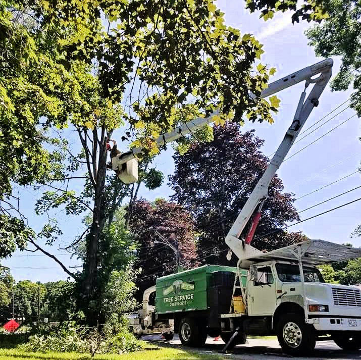 Arbor Mountain Tree Service Bucket Truck at work.