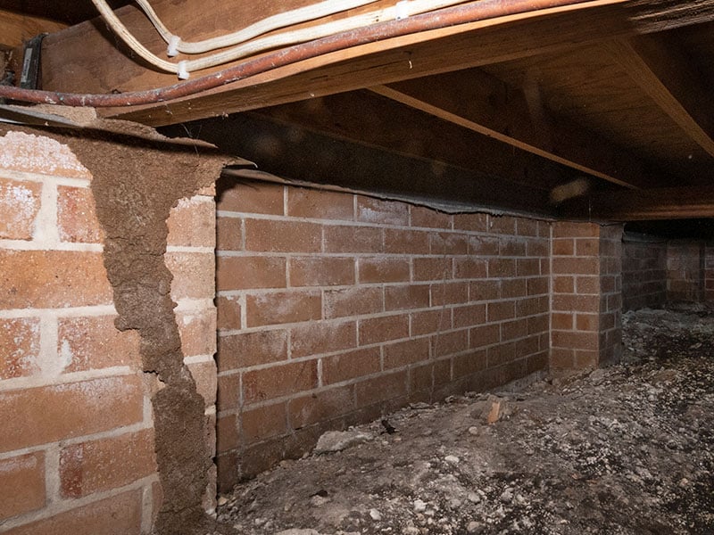 damp crawl space in richmond virginia shows signs of termites