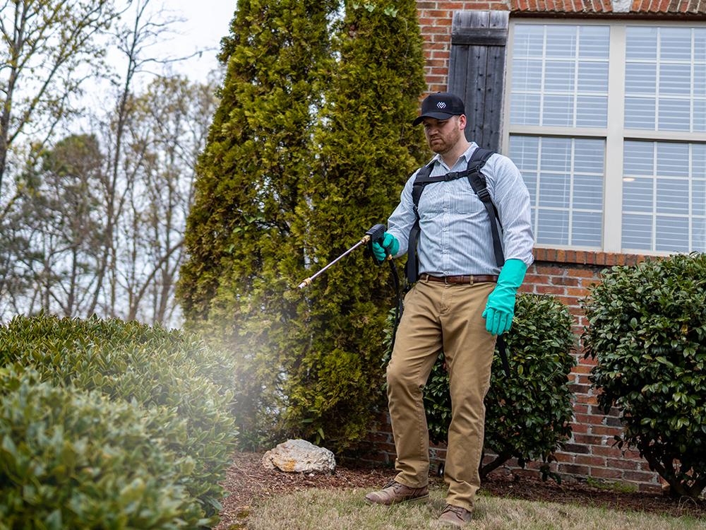 richmond pest control pro spraying yard to eliminate mosquitoes