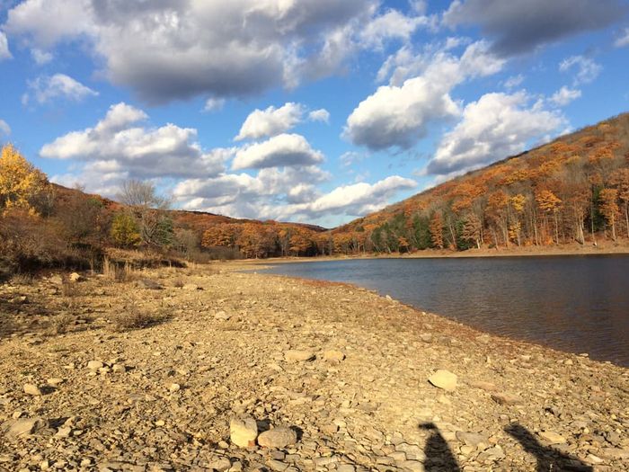 (Credit: USFS Allegheny National Forest)