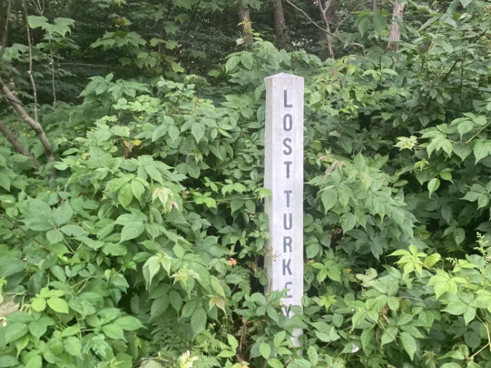 Lost Turkey Trail Sign (Credit: AllTrails user Nick Singer)