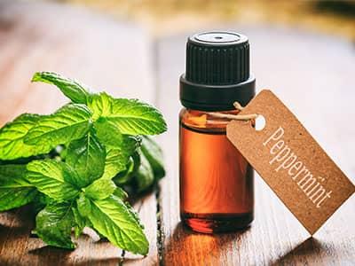 peppermint oil as a natural mouse repellent