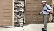 exterior pest treatment in colorado springs