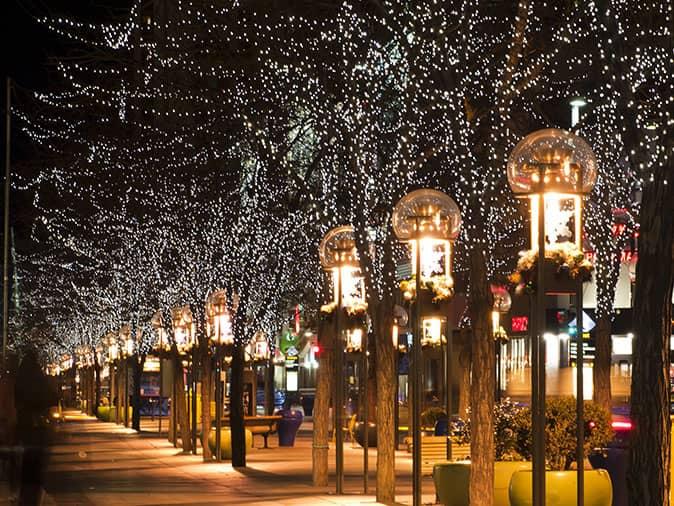 denver decorated for the holidays