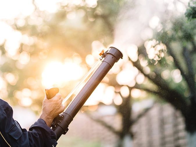 professional mosquito control in denver