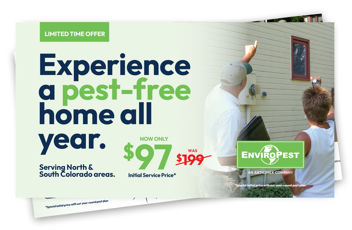 special offer postcard from enviropest