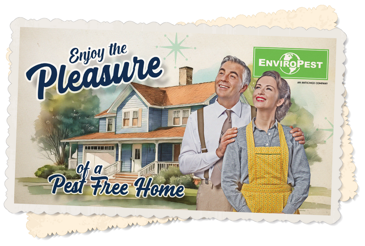 special offer postcard from enviropest