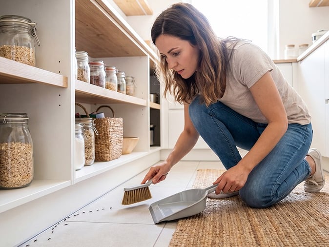 homeowner sweeping up ant trail