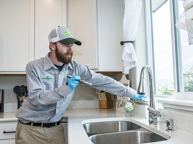 Learn More About Our Inspection Process professional inspection by a colorado licensed pest control technician