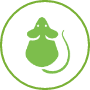 commercial pest management icon