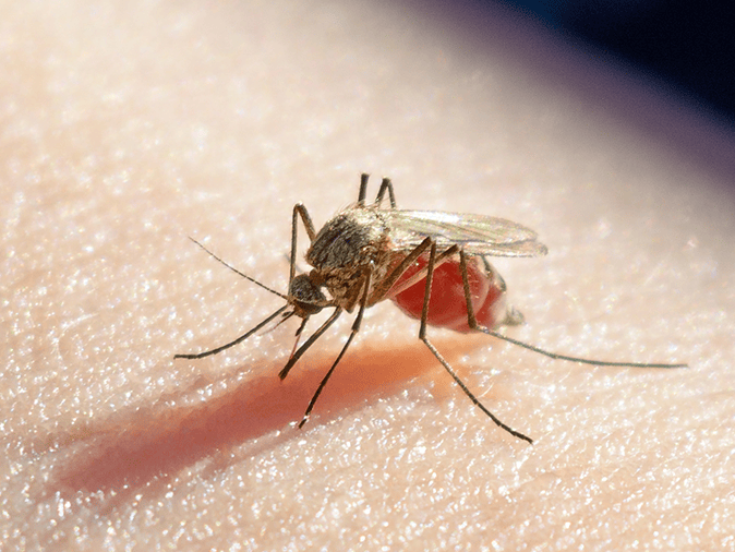 The 10 Best Mosquito Bite Relief Products of 2024