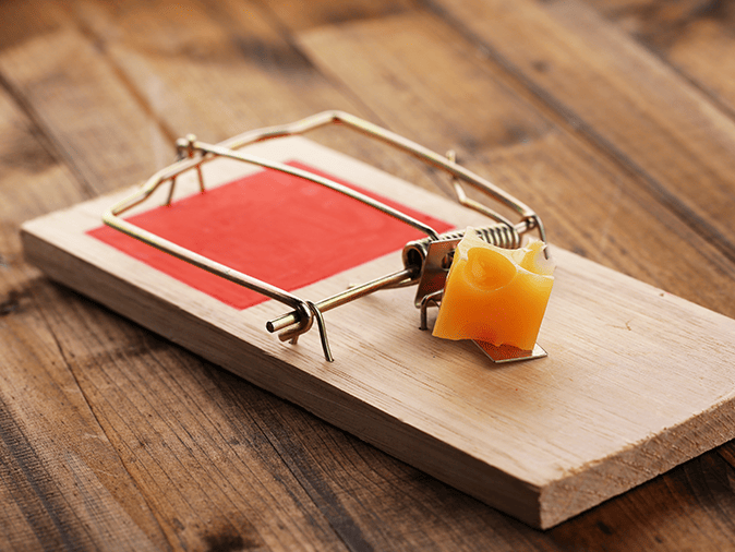 Mousetraps Not Working? Here's What to Do