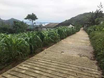 A Path in the Village