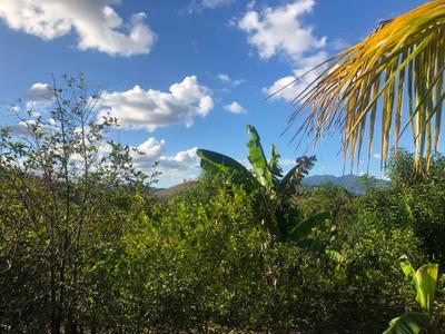 The farm in Jalapa is gorgeous!
