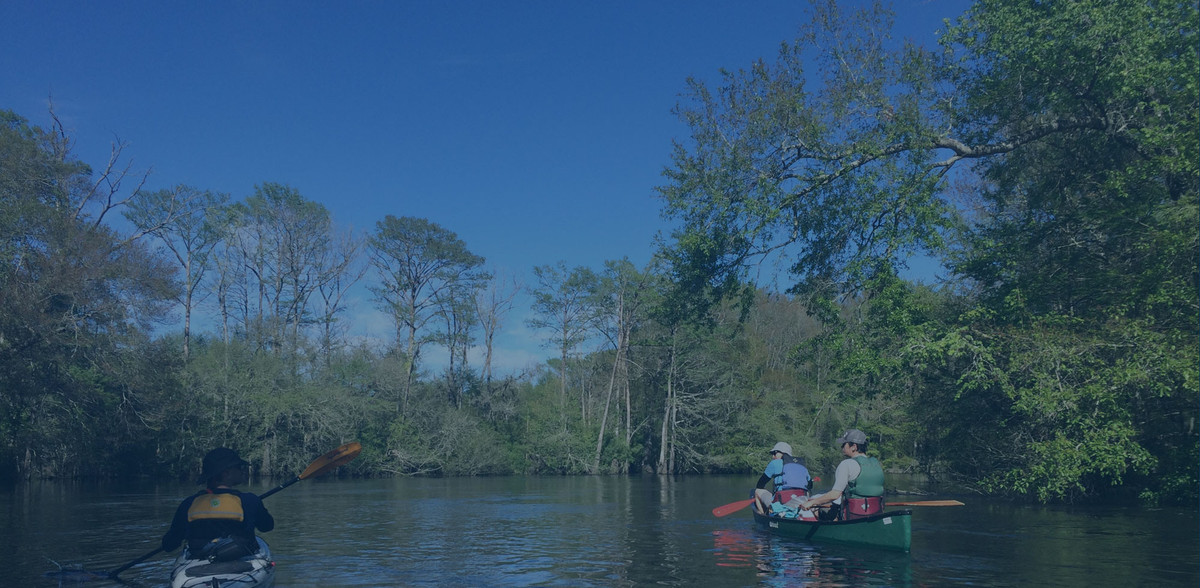 Paddle the Palmetto State