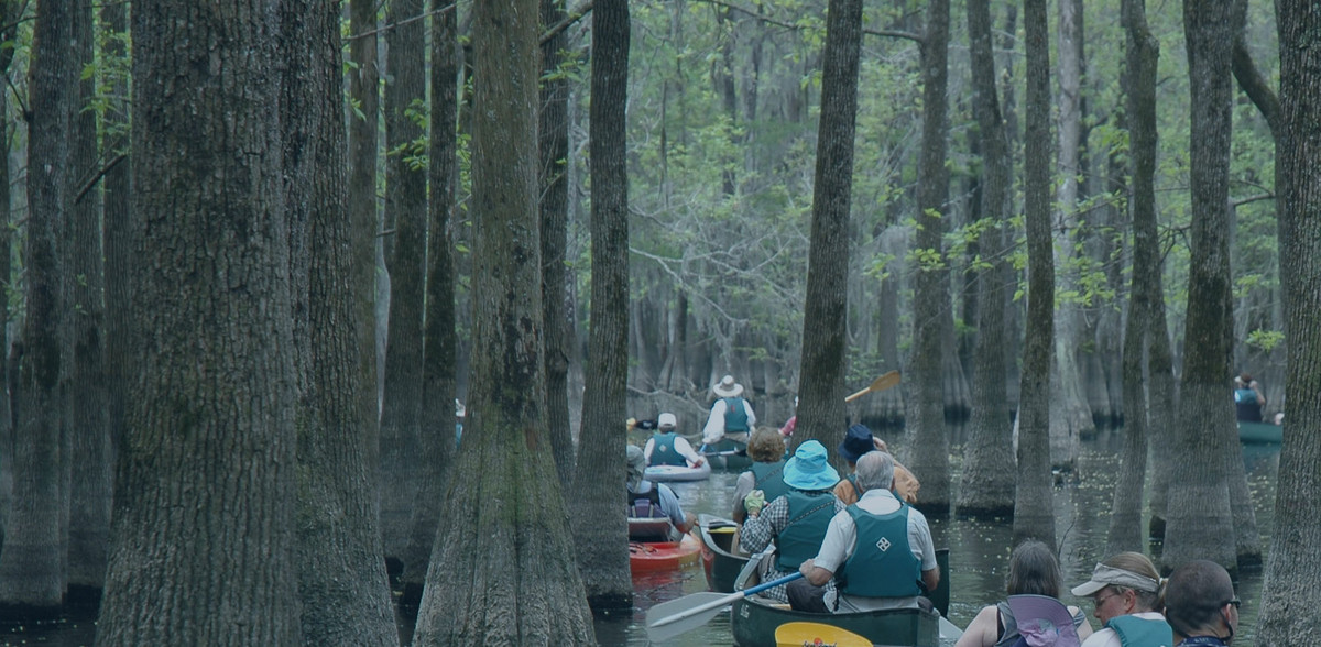 Paddle the Palmetto State