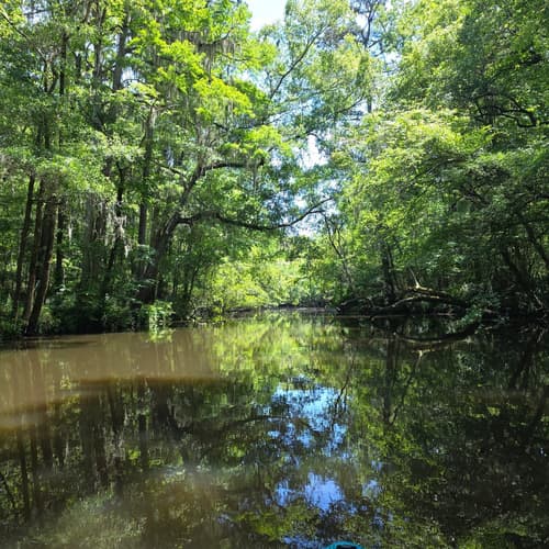 Just passed Ashley River Park (Credit: Amy F)