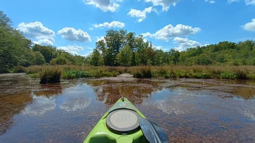 Lagoon on Saluda River (Credit: Timothy G Parrish)