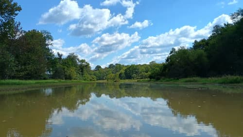 Saluda River (Credit: Timothy G Parrish)