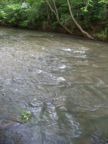 Twelve Mile River at Liberty Highway (Credit: Upstate Forever)