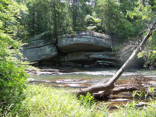 Log Shoals Park site (Credit: Upstate Forever)