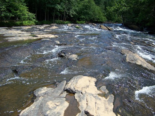 shoals at Log Shoals Park (Credit: Upstate Forever)