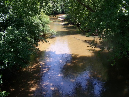 Jenkins Bridge Road view of Reedy River (Credit: Upstate Forever)